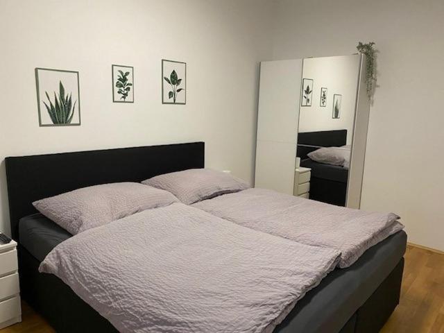 Paky Appartements 00322 莱塔河畔布鲁克 外观 照片