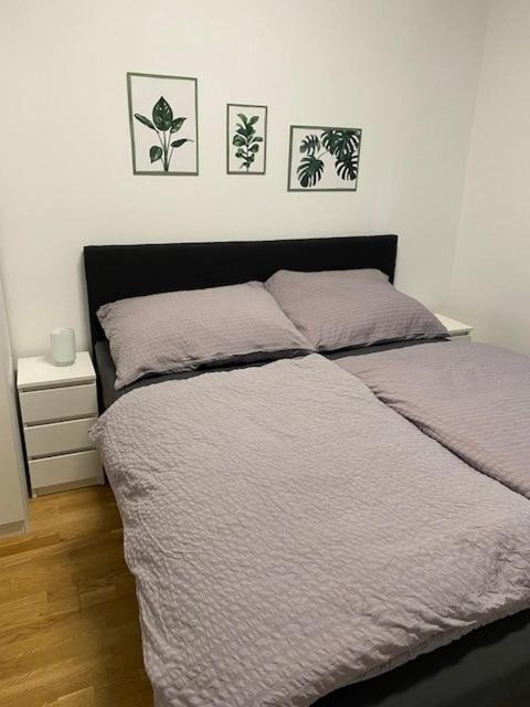 Paky Appartements 00322 莱塔河畔布鲁克 外观 照片